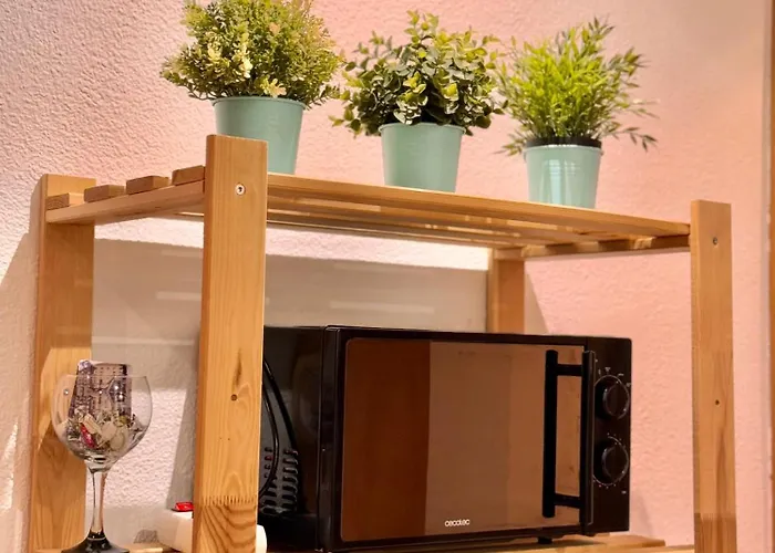 Decris Sierra Nevada