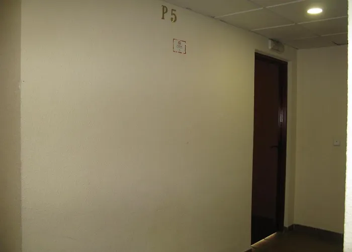 Decris Sierra Nevada